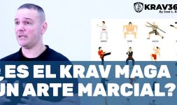 Diferencia entre artes marciales y Krav Maga