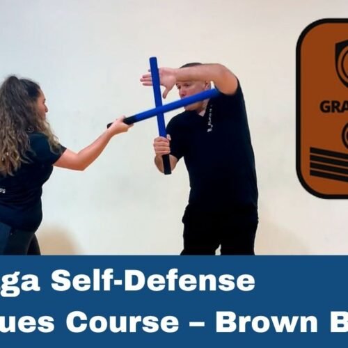 Krav maga self defense brown belt G4